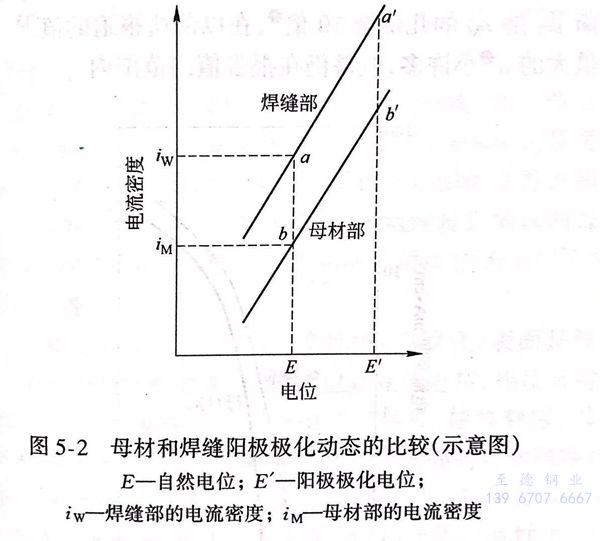 圖 2.jpg